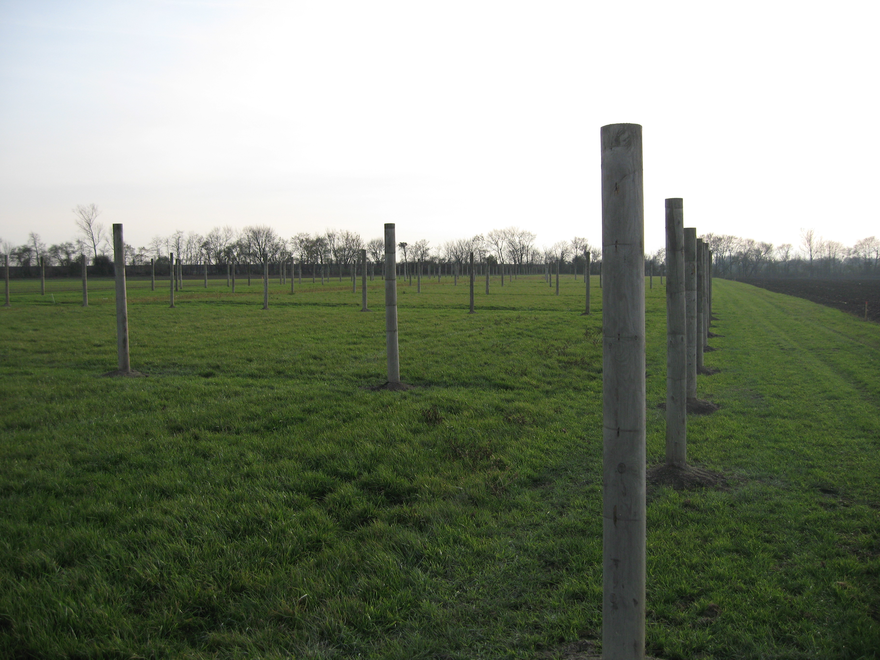 Koppeln